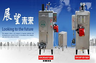 广东专业制造全自动蒸汽机锅炉 旭恩能源锅炉 蒸汽机